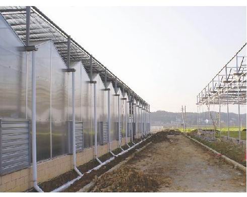 基地建大棚 财政发补贴(图)