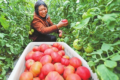 ��ˮ�ش������Ҵ�����ֲģʽ