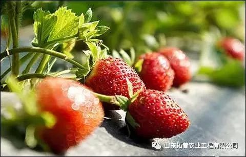 �ҹ�˾���ڡ����Ҵ����߲˳��������ϰ���Ԥ��������ѵ